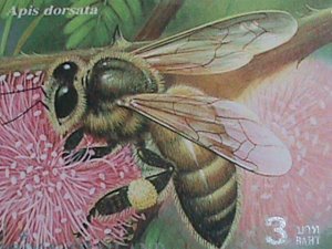 THAILAND STAMP-2000 SC#2930a COLORFUL BEAUTIFUL LOVELY BEE MNH: S/S-VF