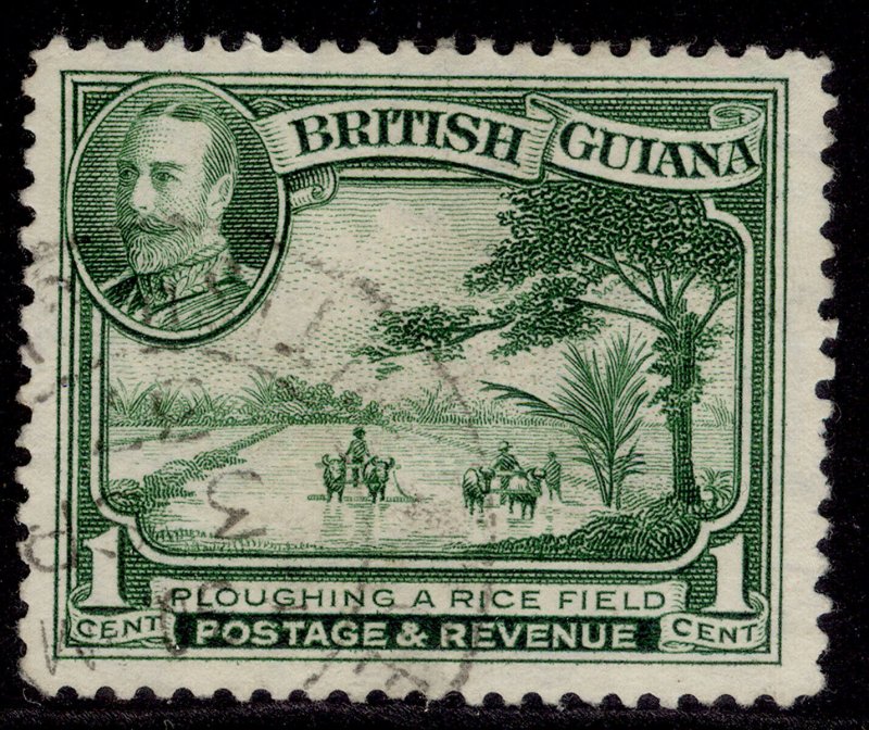 BRITISH GUIANA GV SG288, 1c green, FINE USED.