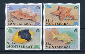 [49499] Montserrat 1991 Marine life Fish MNH