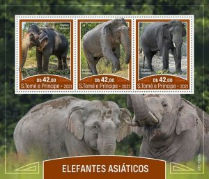 Sao Tome & Principe 2021 MNH Wild Animals Stamps Asian Elephants 3v M/S