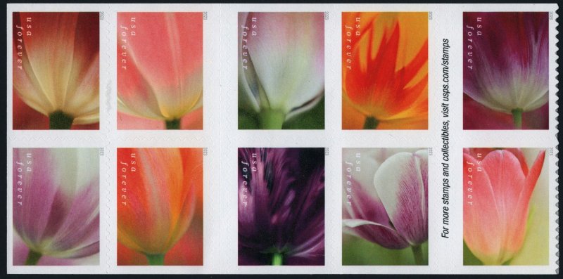 SC#5777-5786 (Forever) Tulip Blossoms Booklet Block of Ten (2023) SA