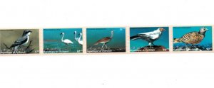 Djibouti 2000 - Birds - Strip of 5 stamps - Scott #824 - MNH
