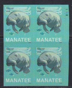 United States 2024 Manatee (Trichechus sp) (Block of 4) with Plate# MNH