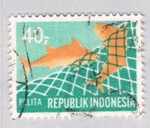 Indonesia Dolphin in net green 40s (AP127833)