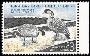 US Stamps # RW31 Duck MNH Superb Gem