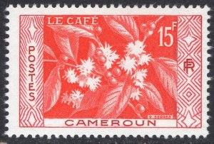 CAMEROUN SCOTT 330