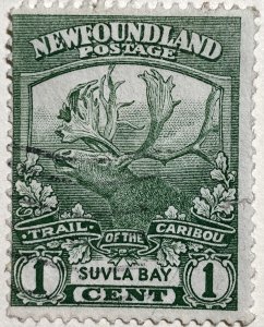 AlexStamps NEWFOUNDLAND #115 FVF Used