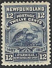 Newfoundland sc 69 MINT