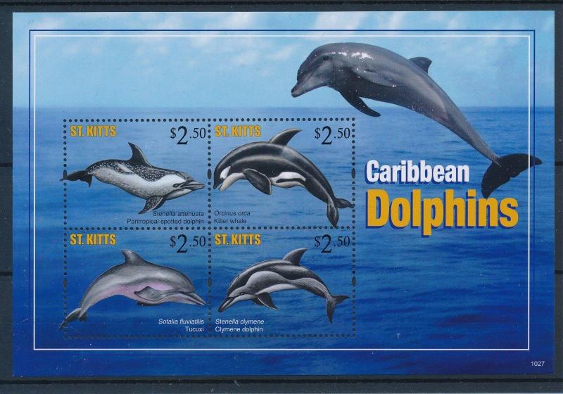 [36592] St. Kitts 2011 Marine life Dolphins MNH Sheet