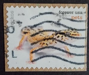 US 5121 (2016 Pets - Gecko)