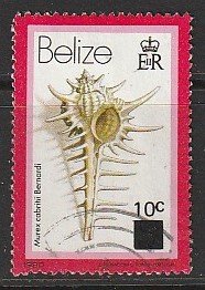 1979 Belize - Sc 422 - used VF - Murex cabritii