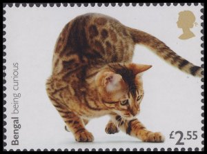 GB 4679 Cats Bengal being curious �2.55 single MNH 2022