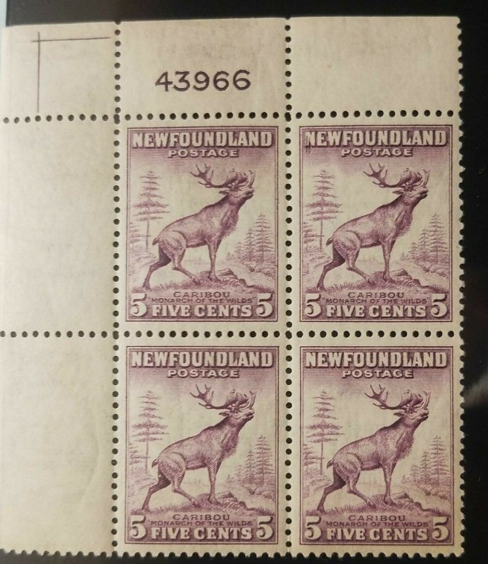 L) 1932 NEWFOUNDLAND, CARIBOU, ANIMAL, PURPLE, 5C, PERFORATED