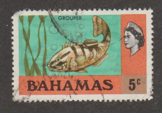 Bahamas 430 Grouper - Bahamas  (RFF - reduced for fault)