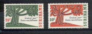 Suriname - 1966 - NVPH 458-59 - MNH - ZO135