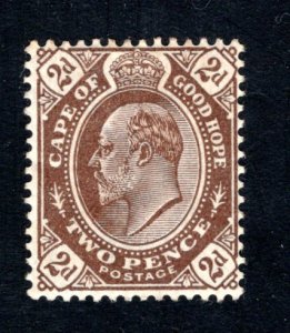 Cape of Good Hope Scott 65, F/VF, Unused, OG, CV $24.00 ..... 1190082