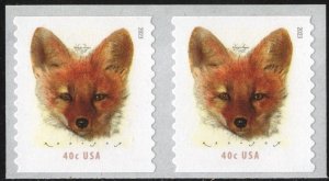 SC#5743 40¢ Red Fox Coil Pair (2023) SA