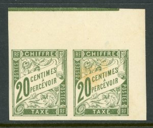 French Colony 1894 General Issues 20¢ Postage Due Sc #J18 Mint MARGIN PAIR D872