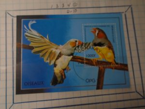 Guinea #  1374  used  Birds