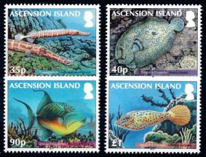 [66827] Ascension 2012 Marine Life Fish  MNH