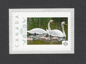 SWAN FAMILY = Picture Postage MNH-VF Canada 2014 [p7sw1/2]