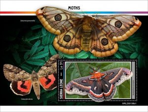 2023 01-SIERRA LEONE - MOTHS I     1V  complet set    MNH ** T