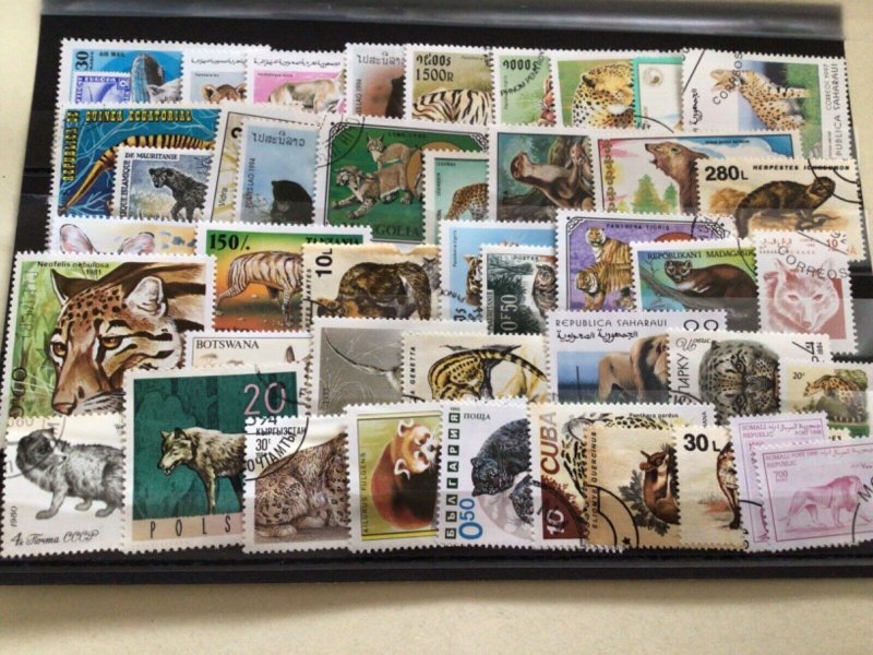 Wild Animals from around the world stamps A6901
