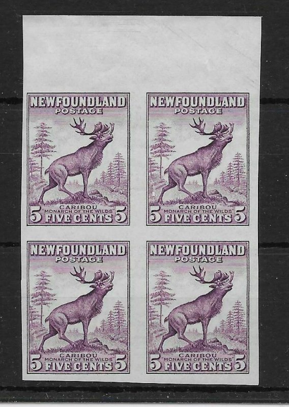 NEWFOUNDLAND SG213a 1932 5c MAROON IMPERF x 2 PAIRS MNH - MOUNTED ON SELVEDGE