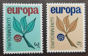 *FREE SHIP Luxembourg Europa CEPT Fruit 1965 Leaf Plant (stamp) MNH