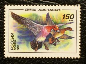 Russia Scott #6220 mnh