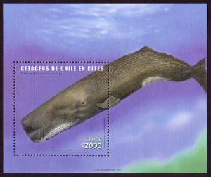 Chile Whales MS SG#MS2067 MI#Block 56