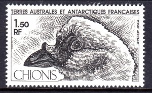 French Southern & Antarctic Territory 1981 Chionis - Bird Mint MNH SG 162