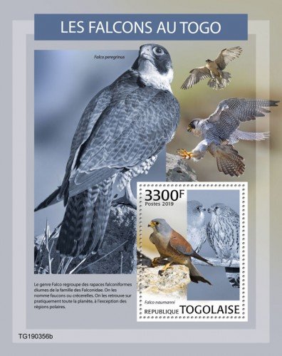 TOGO - 2019 - Falcons in Togo - Perf Souv Sheet - MNH