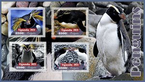Stamps.Fauna. Penguins 2021 year 1+1 sheets perf Uganda