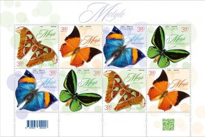 Poland 2024 MNH Stamps Mini Sheet Butterflies Butterfly