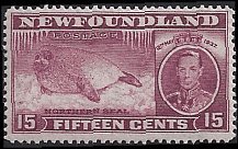 NEWFOUNDLAND #239 MINT NEVER HINGED (1)