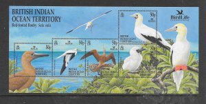 BIRDS - BRITISH INDIAN OCEAN TERRITORY #244 S/S  MNH