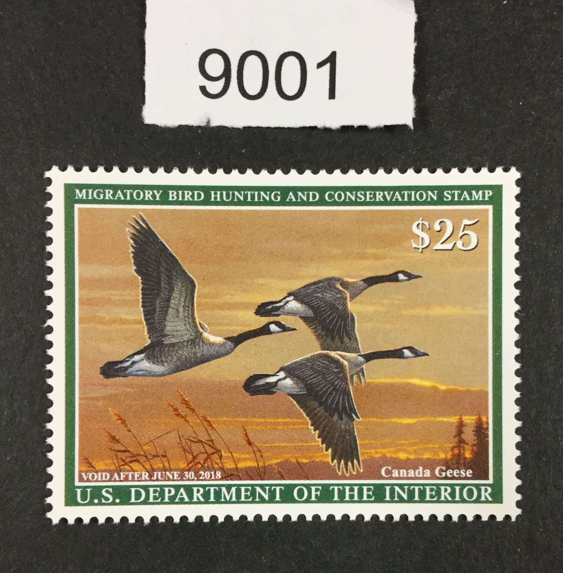 US Stamps Rw84 Duck Mint OG NH LOT C 9001 United States, Duck