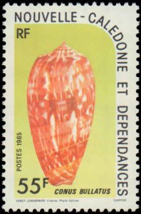 New Caledonia  #521-522, Complete Set(2), 1985, Seashells, Never Hinged