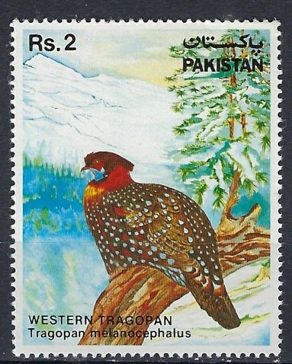 Pakistan 560 MNH 1981 issue (ak1465)