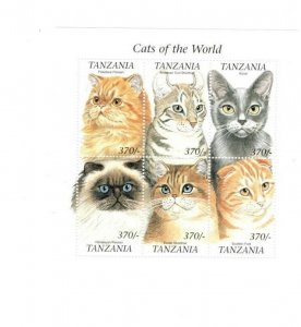 Tanzania 1999 Cats - Sheet of 4 - MNH