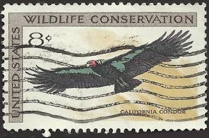 # 1430 USED CALIFORNIA CONDOR