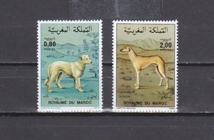 Morocco, Scott cat. 593-594. Dogs issue.