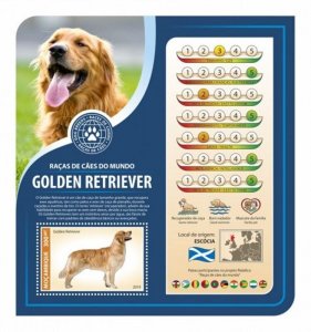 Mozambique - 2019 Dog Breeds Golden Retriever - Stamp Souvenir Sheet MOZ190328b