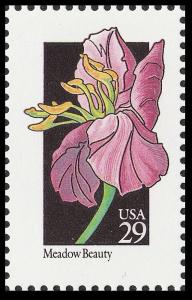 US 2649 Wildflowers Meadow Beauty 29c single MNH 1992