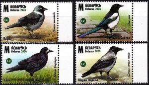 BELARUS 2024-08 FAUNA Animals Birds: Corvids. Crow Magpie etc., MNH