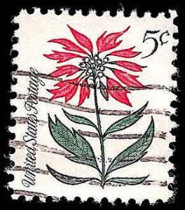 # 1256 USED POINSETTIA