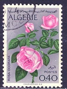 Algeria; 1973: Sc. # 497: Used Single Stamp