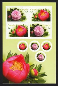 PEONIES =ELGIN & CORAL & GOLD = FRONT BK page of 4+seals Canada 2008 #2261-2