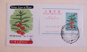 KOREA  FDC SHEETLET  1965 PLANT BALSAMINA   CACHET UNADDRESSED